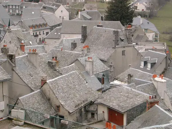Monte Escalier 12 Installateur monte escalier Laguiole