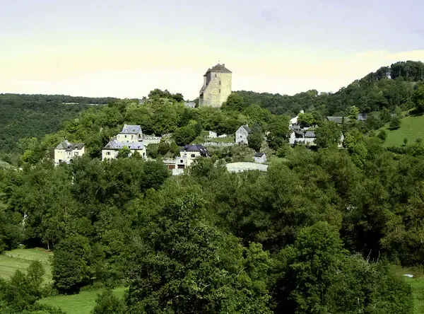 Monte Escalier 12 Installateur monte escalier Muret-le-Château