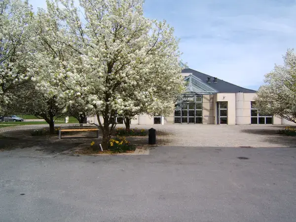 Monte Escalier 12 Installateur monte escalier Olemps